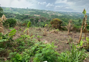 acres of farmland for sale